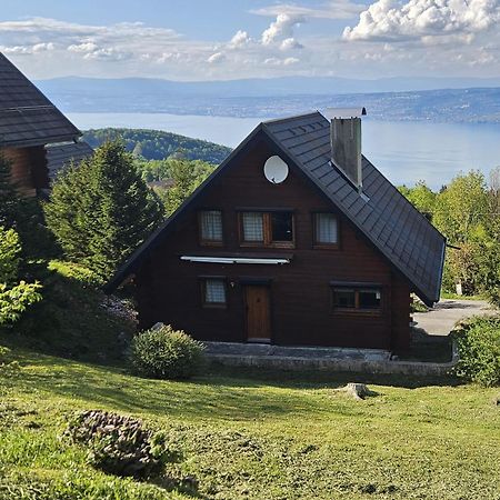 Chalet Les Alpages Vue Panoramique Sur Le Lac Leman Thollon-les-Memises Exterior foto