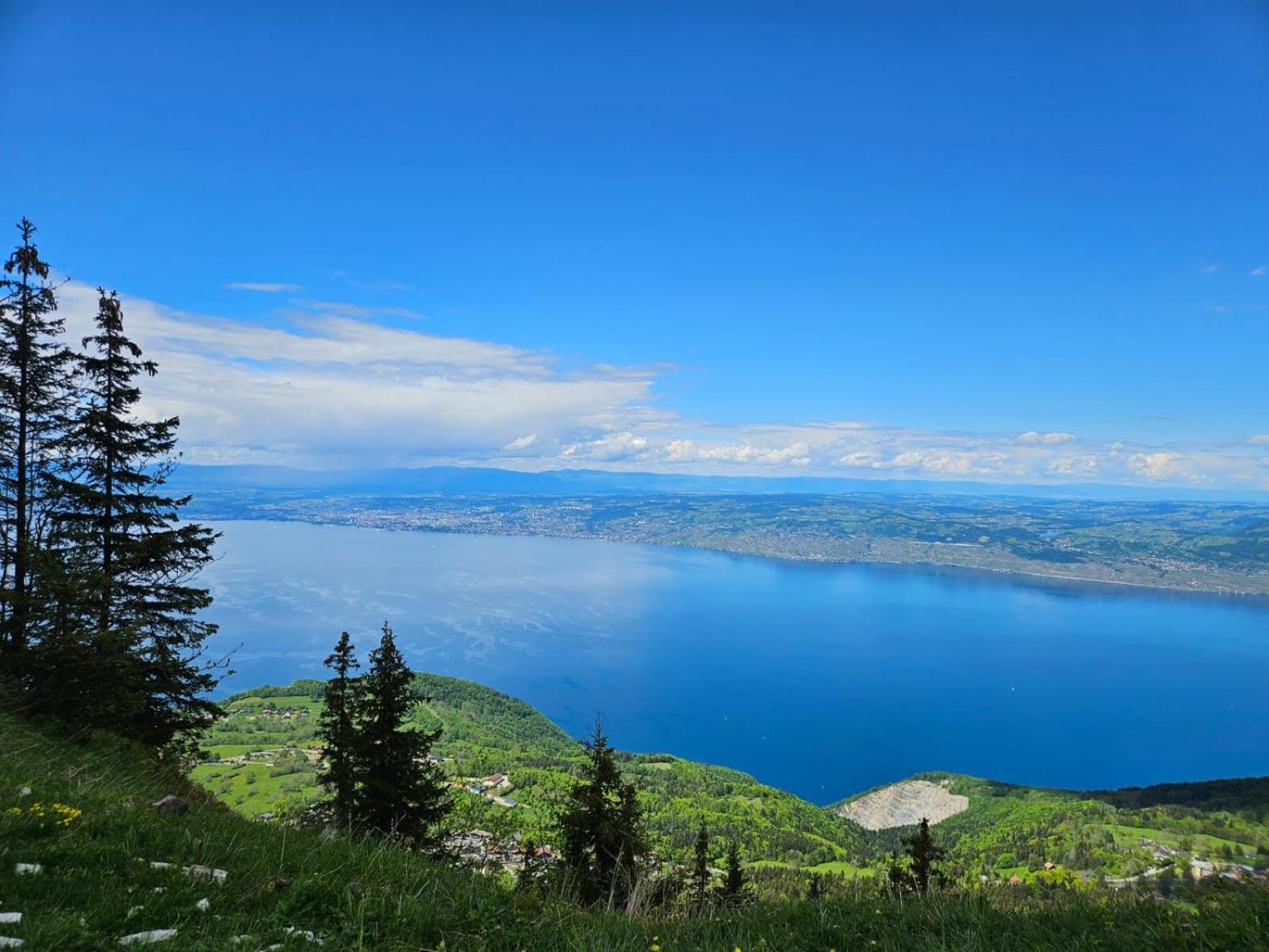 Chalet Les Alpages Vue Panoramique Sur Le Lac Leman Thollon-les-Memises Exterior foto
